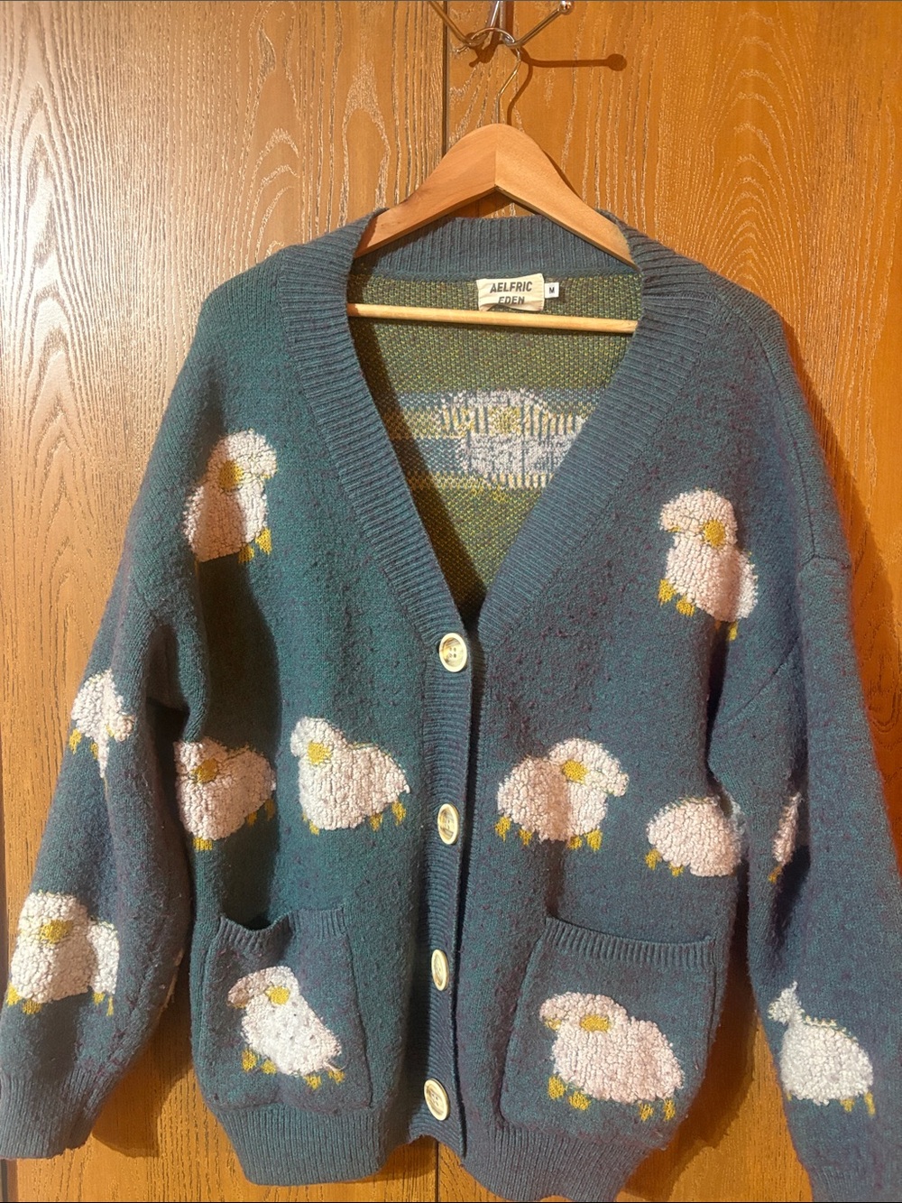 Aelfric Eden Teal Sheep Knit Cardigan
